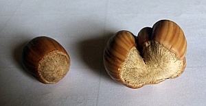 Wonky nuts