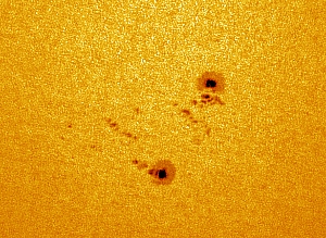 Observing Report 24th July 2010 (Sunspots in Active Region 1089 – Session 2)
